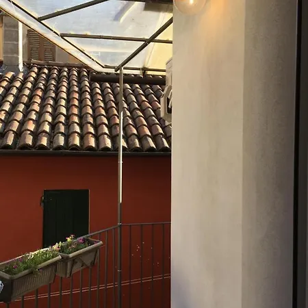 Antica Novi *